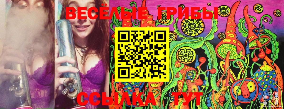 Галлюциногенные грибы Magic Shrooms  Вход с VPN  Псилоцибиновые грибы Cubensis  Люберцы 