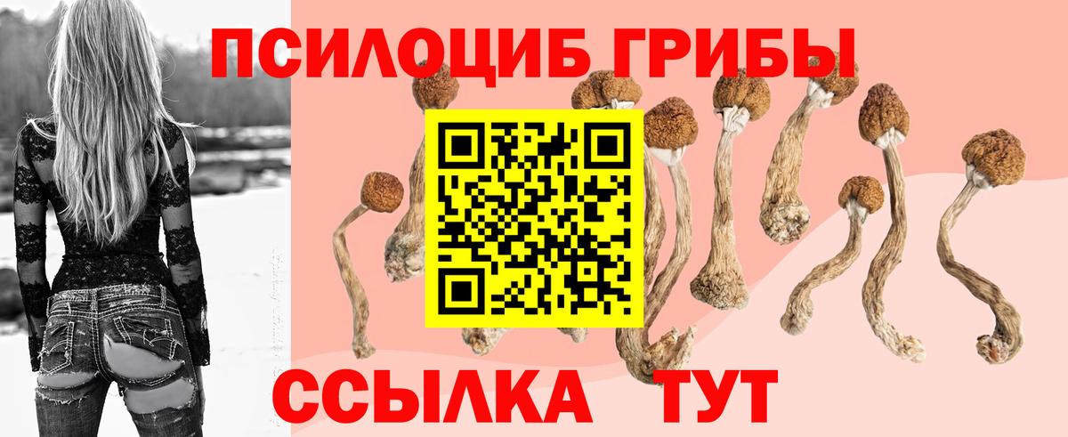 Псилоцибиновые грибы Cubensis Люберцы
